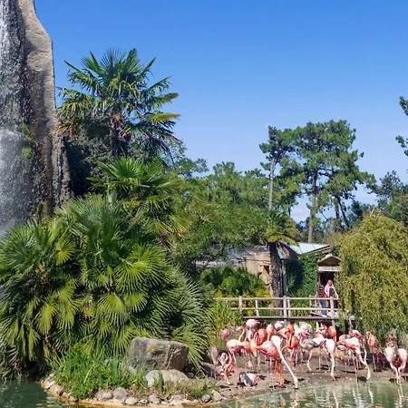 Сasa de vacaciones 2 Bedroom Cozy In Sainte-gemme *